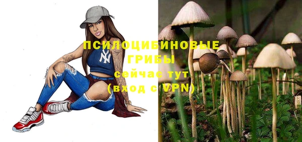 прущие крисы Алексеевка